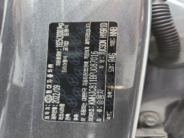 lotterental_154948151_1Rytd_6.jpg