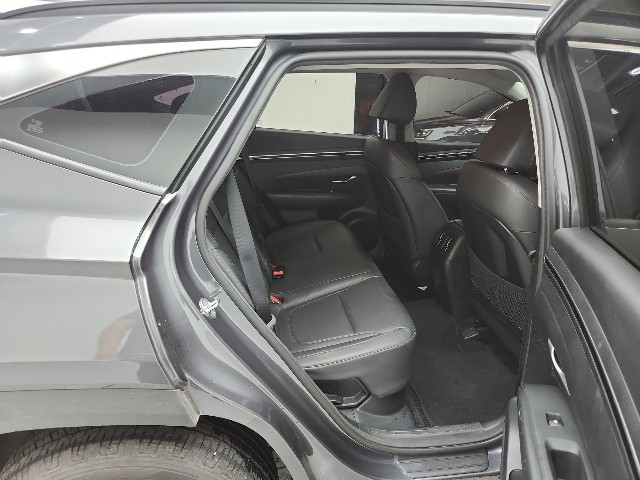 lotterental_154948381_MAS4u_10.jpg