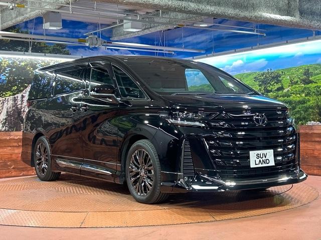 24051560_carP_l_9.jpg