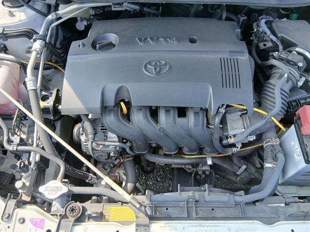 08.jpg