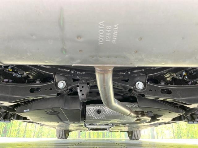 24421374_carP_l_16.jpg