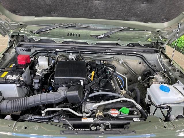 24562643_carP_l_16.jpg