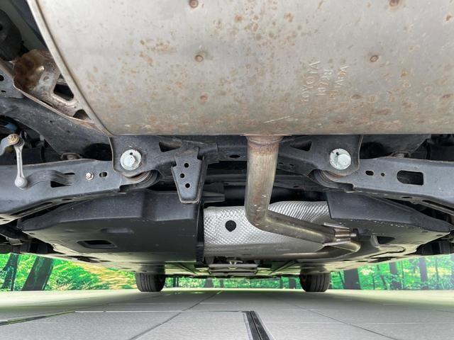 24726503_carP_l_18.jpg