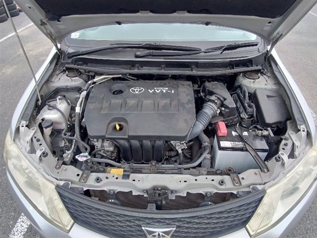 08.jpg