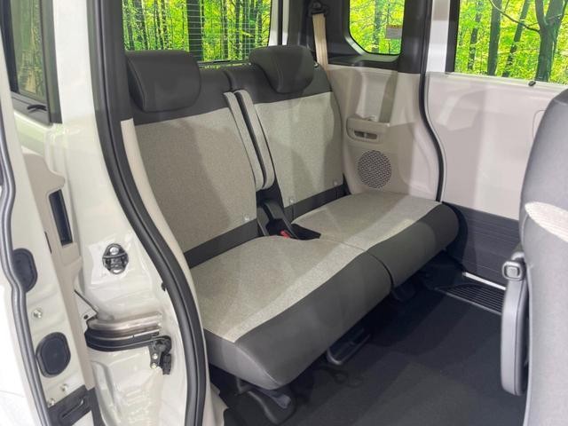 24869422_carP_l_19.jpg