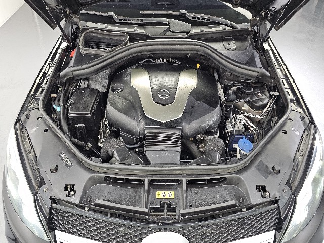 41b220ae83370dc37f0f6fdf0652572a.jpeg