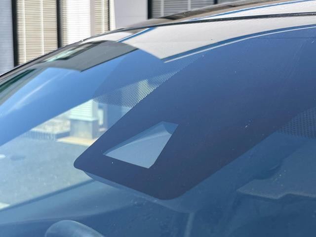 25445474_carP_l_17.jpg