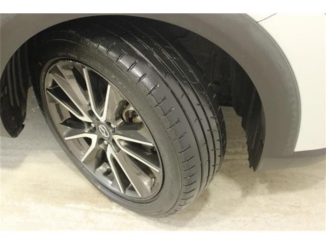 b9aed590c25c70d81ffa8de69ad13b17.jpg