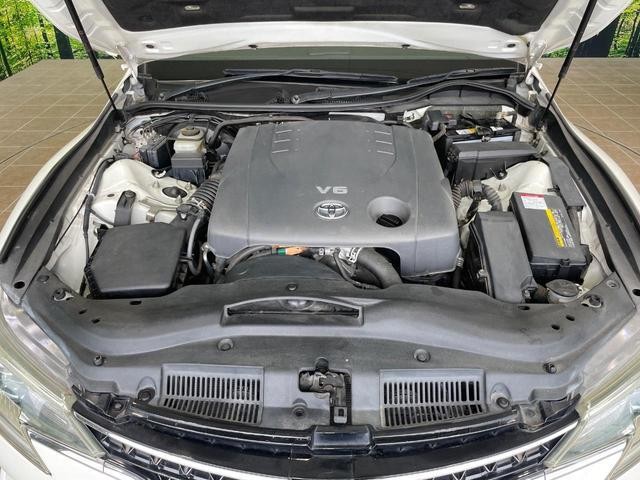 25527957_carP_l_16.jpg
