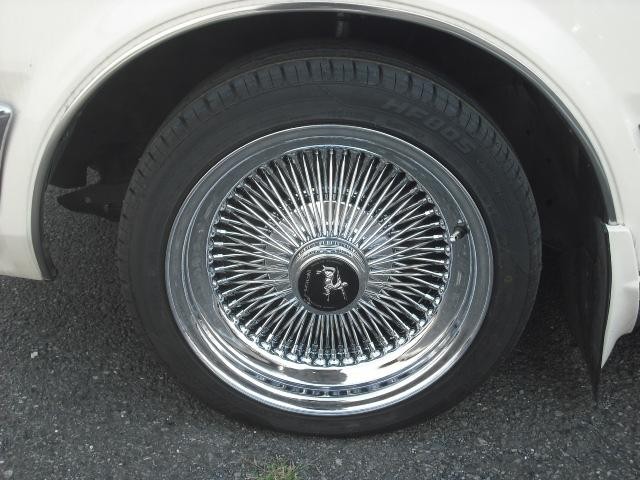 0504216A30220325W00310.jpg