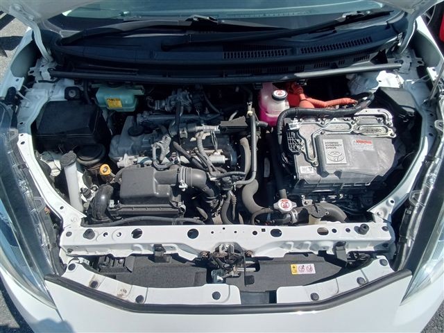 08.jpg