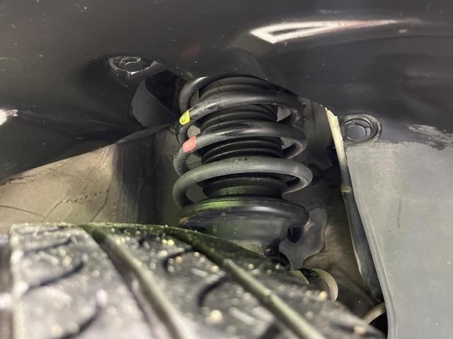 25591887_carP_l_20.jpg
