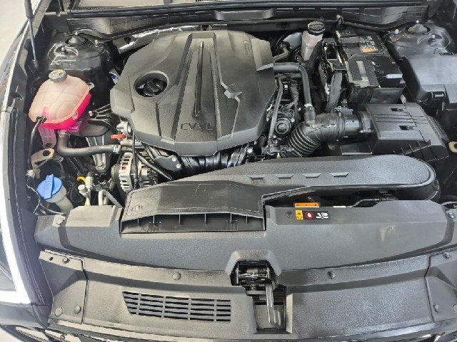 6091500489R5.jpg