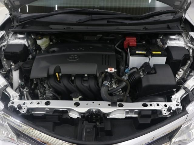 25658467_carP_l_17.jpg