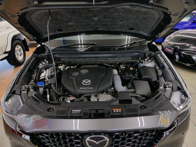 d8558792712d3b5764d89ca0df93c114.jpg