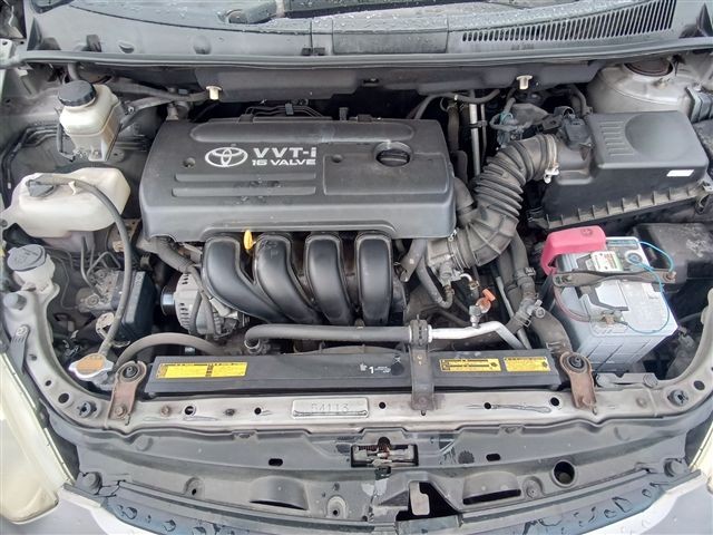 08.jpg