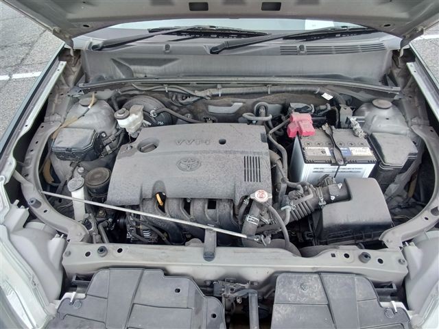 08.jpg