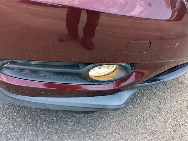 31.jpg