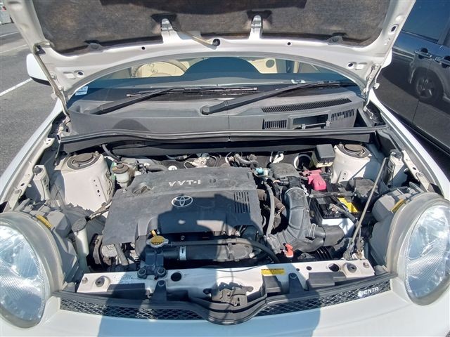 08.jpg