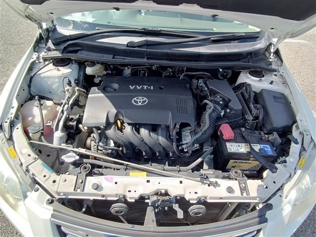 08.jpg