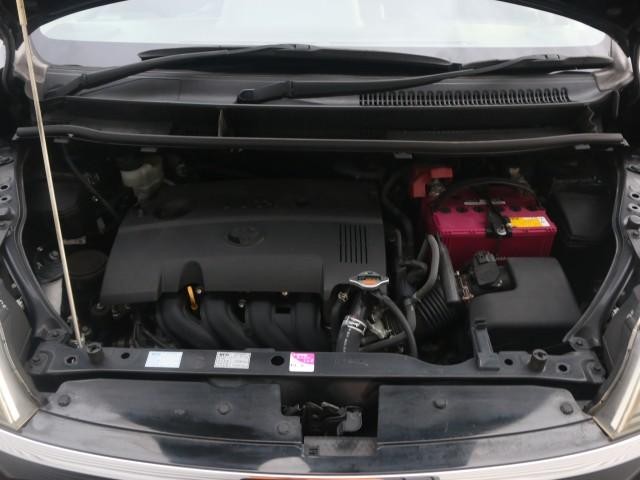 25699517_carP_l_17.jpg