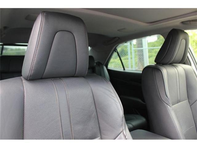 d425ce68a06c2ae843619817c60a9b1c.jpg