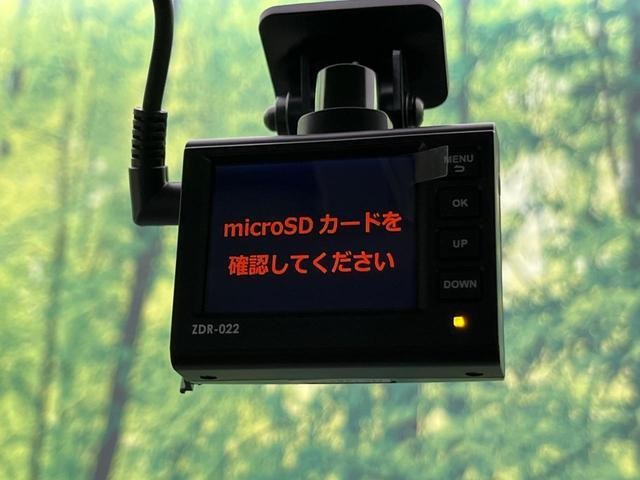25734256_carP_l_10.jpg