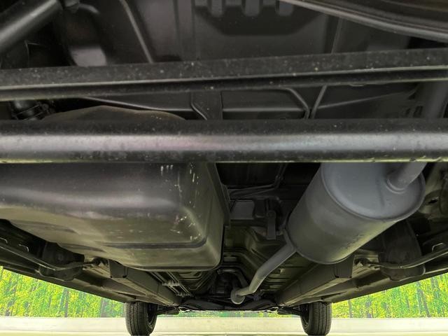 25734256_carP_l_18.jpg