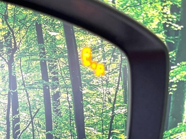 25734498_carP_l_10.jpg