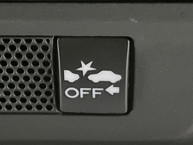 25774296_carP_l_10.jpg