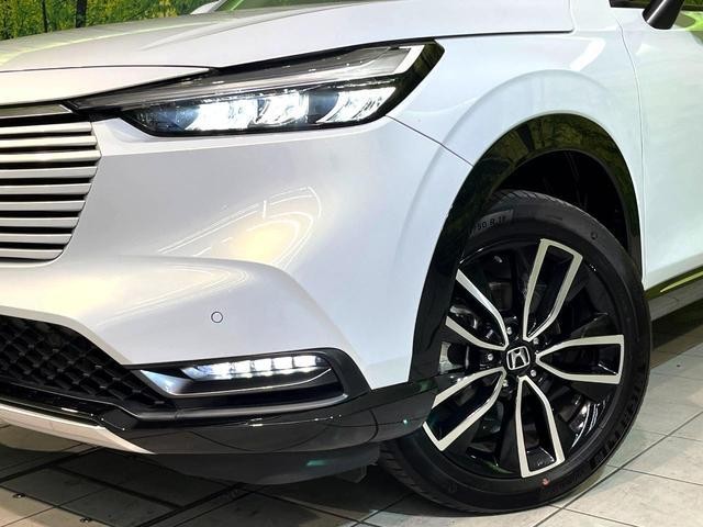 25774317_carP_l_6.jpg