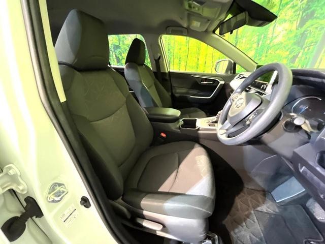 25793033_carP_l_17.jpg