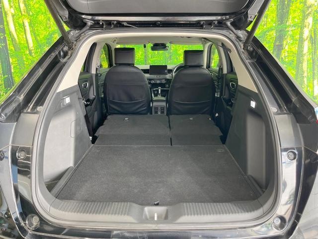 25811507_carP_l_6.jpg