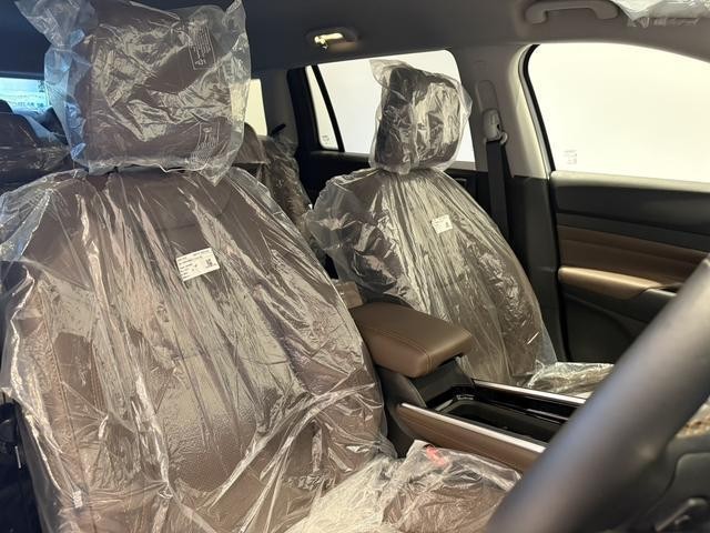 25830492_carP_l_4.jpg