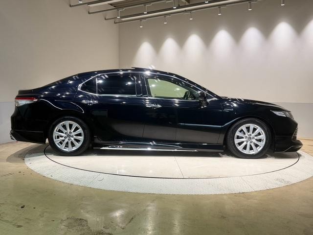 f149ff50d5c534b71e2cab7bfa7a6421.jpg
