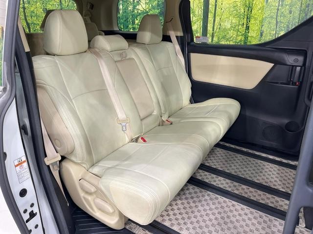 25865934_carP_l_19.jpg
