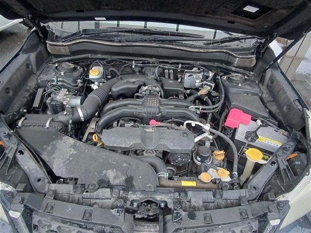 08.jpg