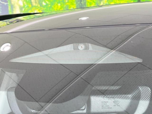 25885092_carP_l_15.jpg