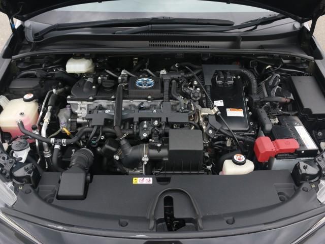 25890185_carP_l_17.jpg