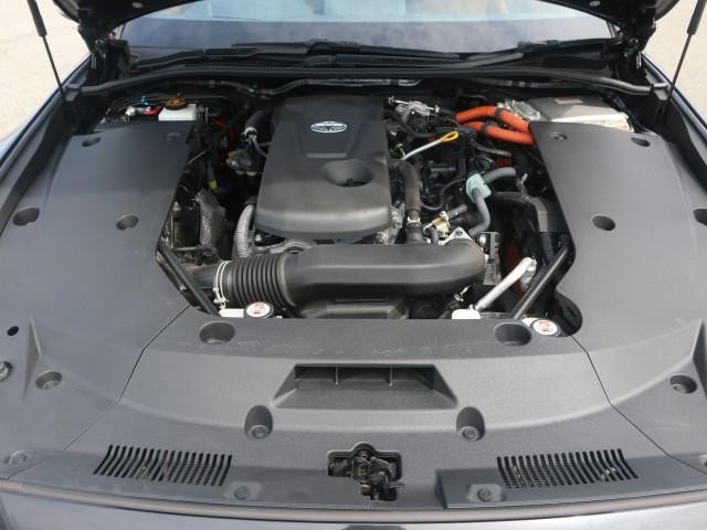 25928192_carP_l_17.jpg