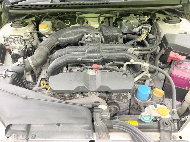 c2e91455d0aa022c03dac78a40956614.jpg