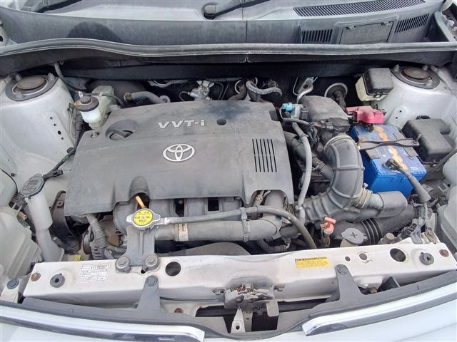 08.jpg