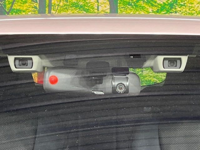 f0306babf6e5bccdaa73e2fc1352251e.jpg
