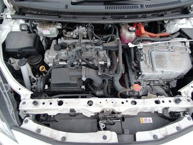 08.jpg