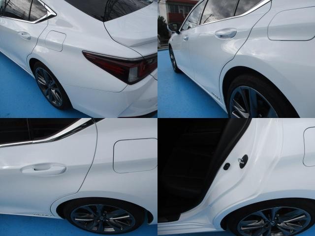 26802119_carP_l_19.jpg