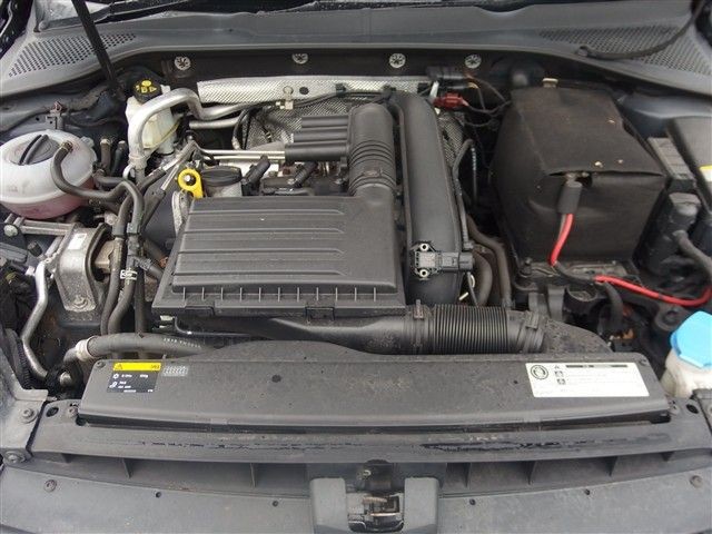 08.jpg