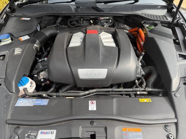 9500010A30260206W00115.jpg