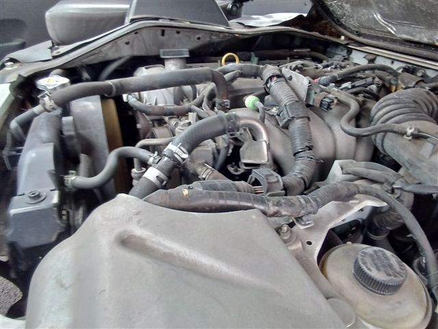 08.jpg