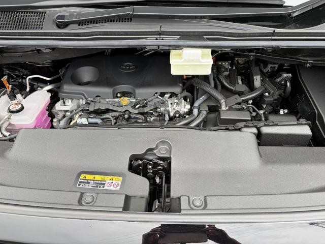 25968418_carP_l_20.jpg