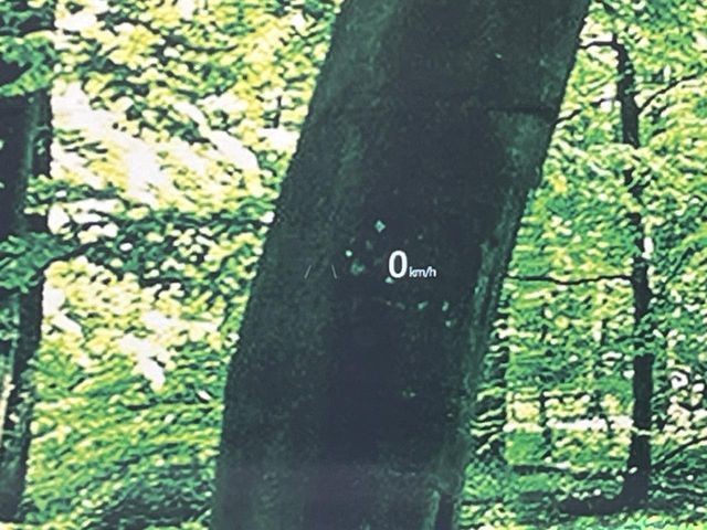 19af37e82db8704e05058d73e48e24b7.jpg
